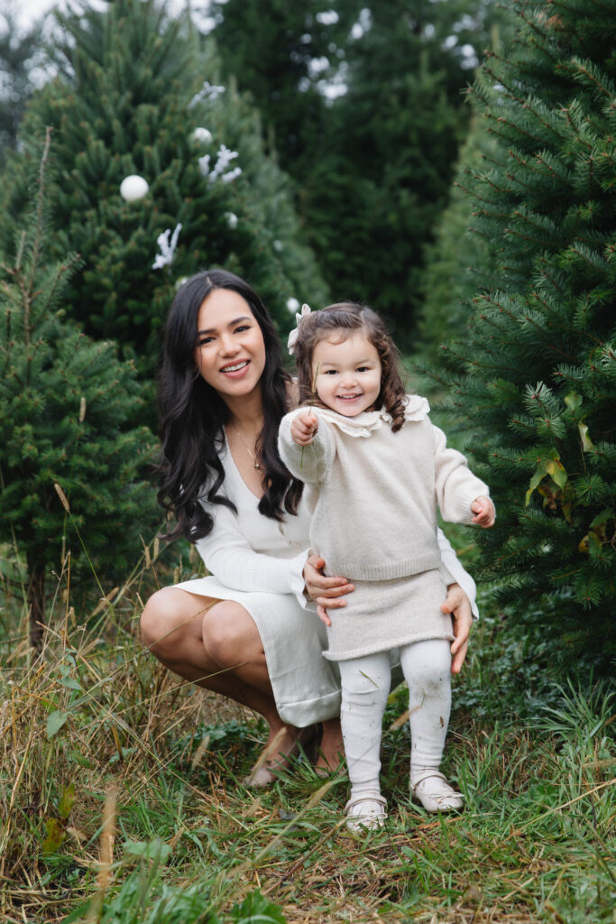 christmas tree farm photo