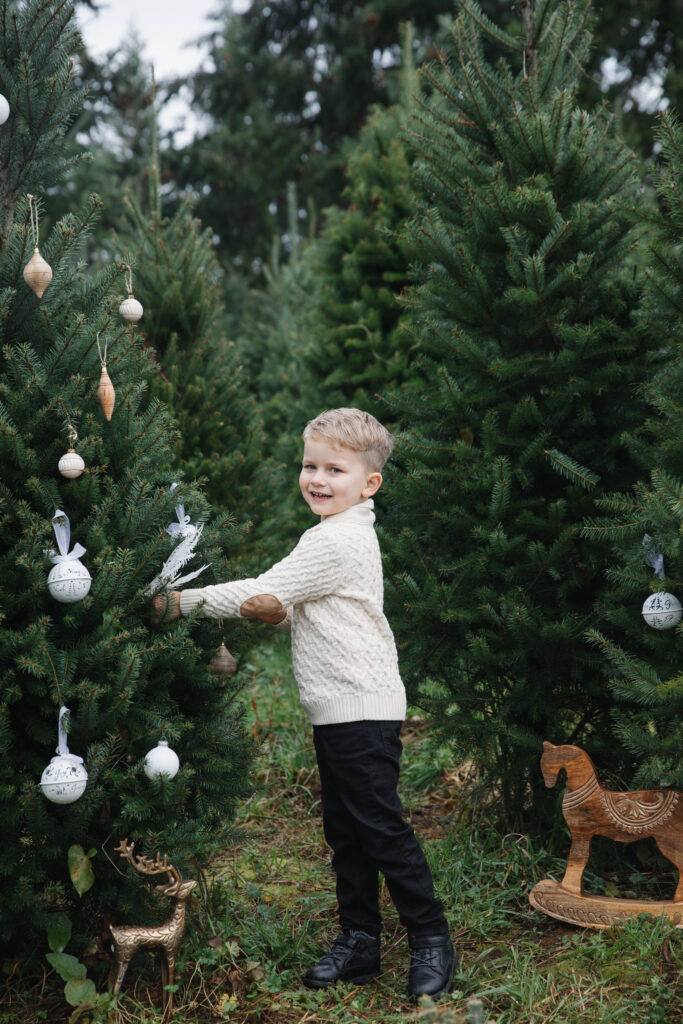 tree farm photo